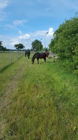 20160628_172129.jpg
