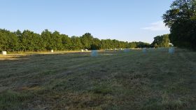 20160623_195557.jpg